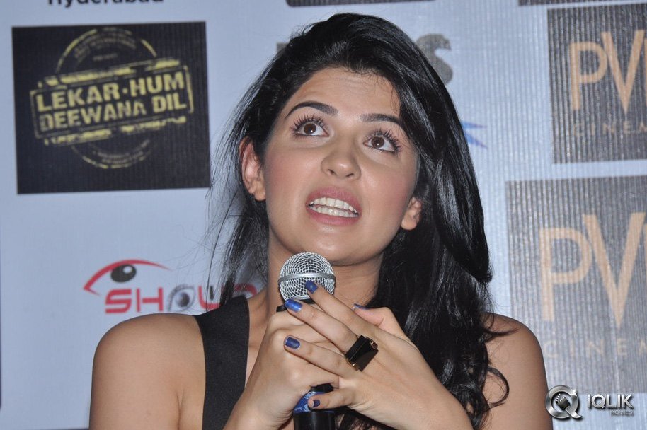 Lekar-Hum-Deewana-Dil-Press-Meet